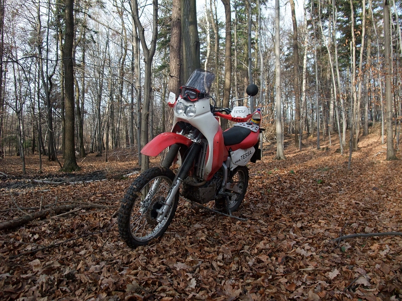 Obraz 103